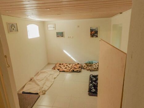 Extraraum für Hunde