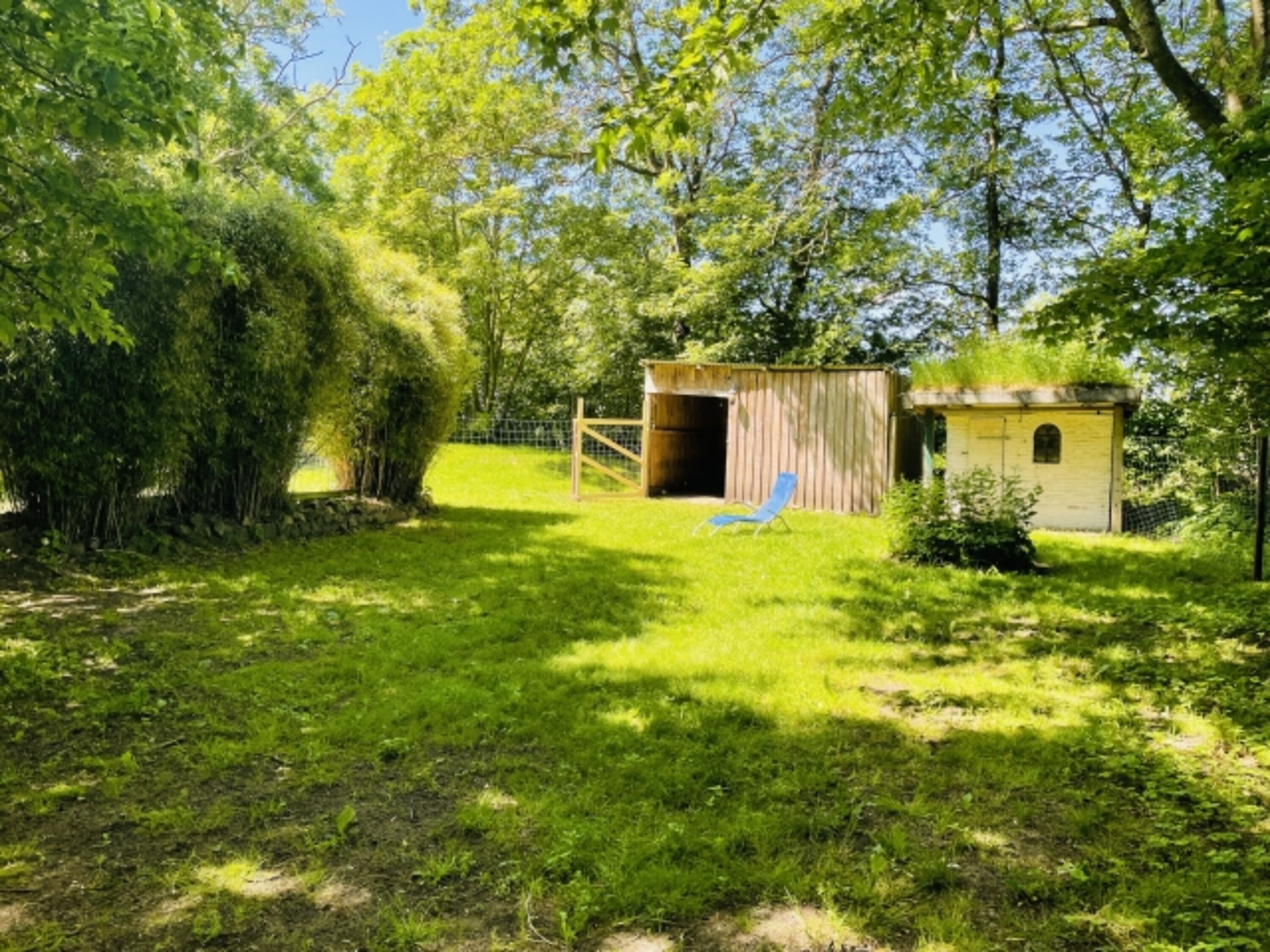 300 qm umzäunter Garten mit Hundehaus (mit Tor).