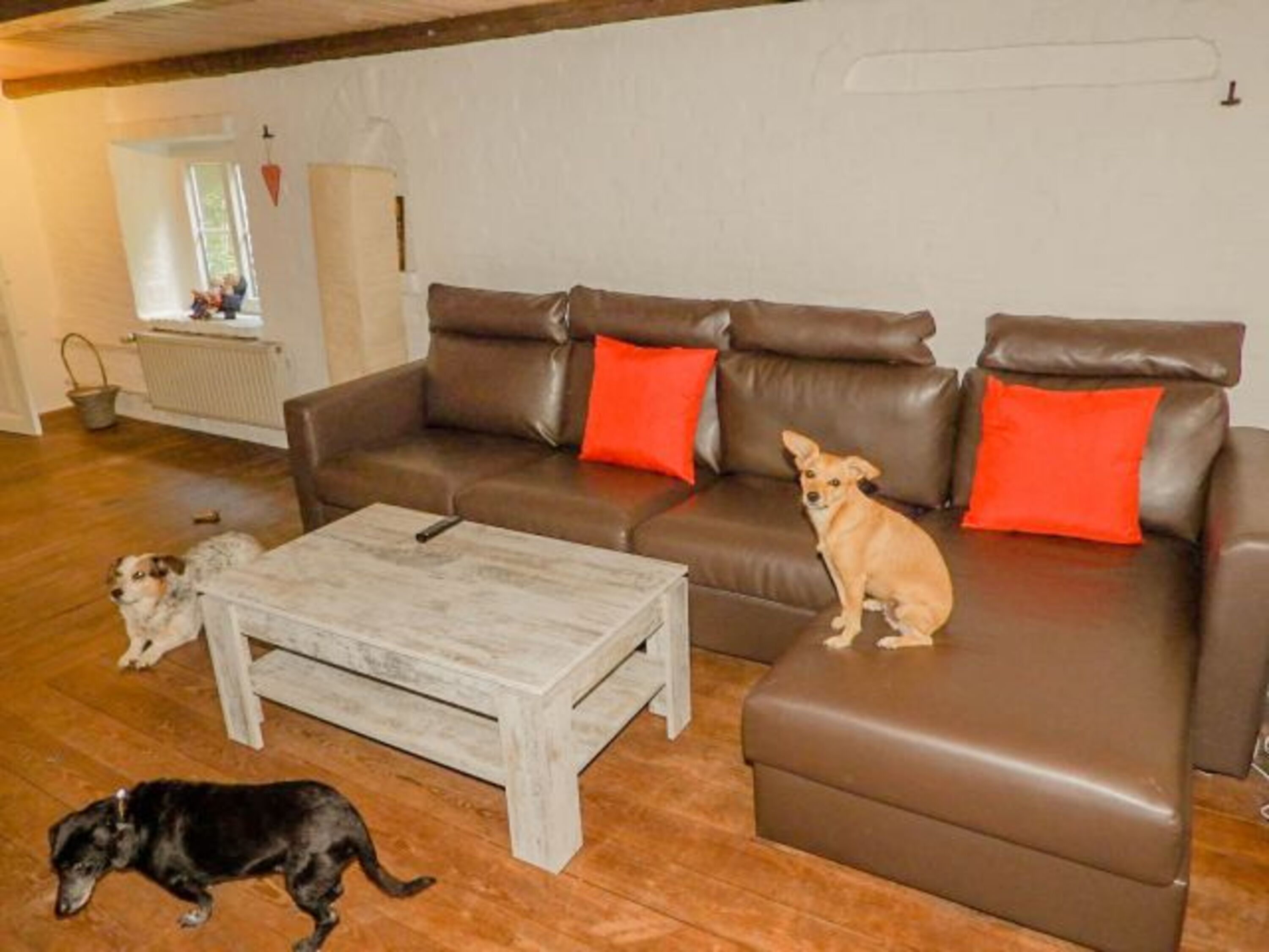 Wohnzimmercouch