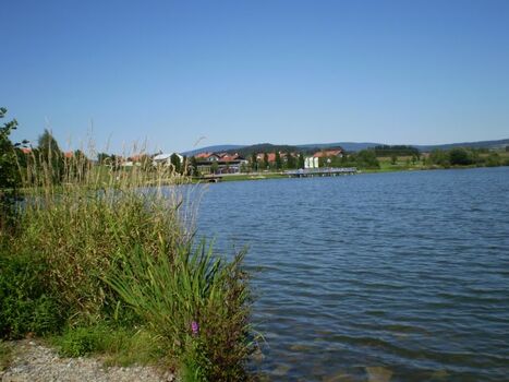 Erlauzwieseler See bei Waldkirchen 