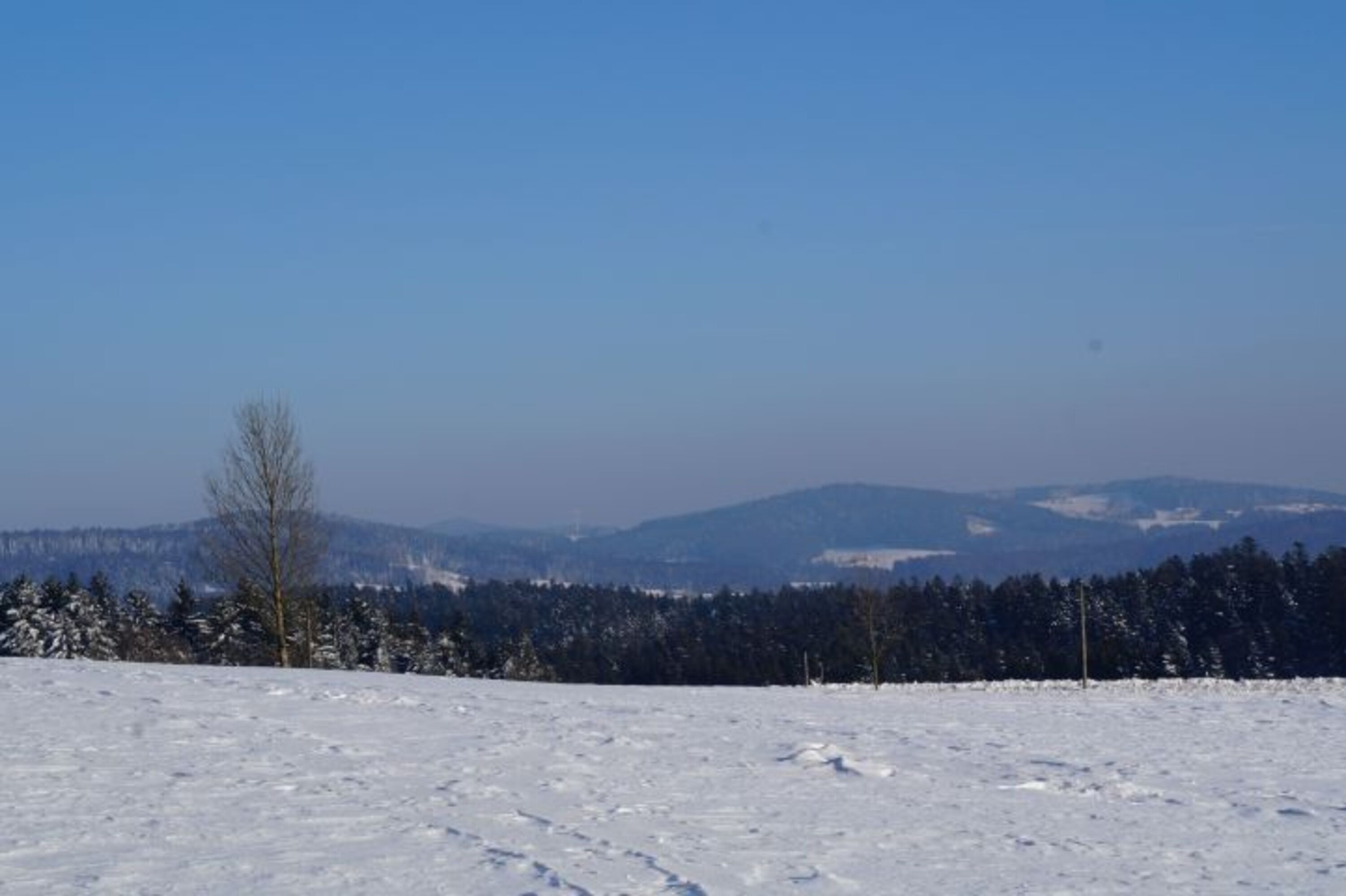 Winterlandschaft