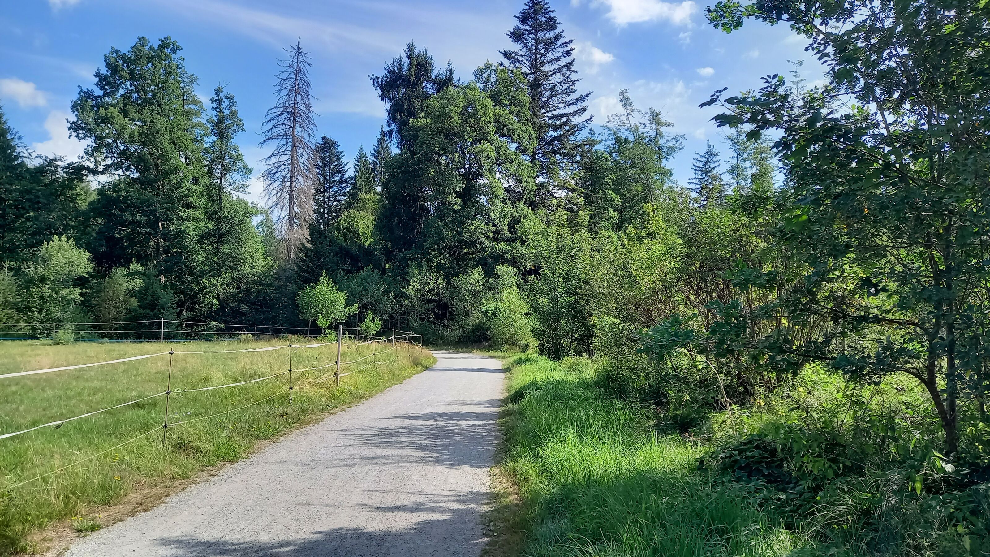 Wanderweg in Waldkirchen