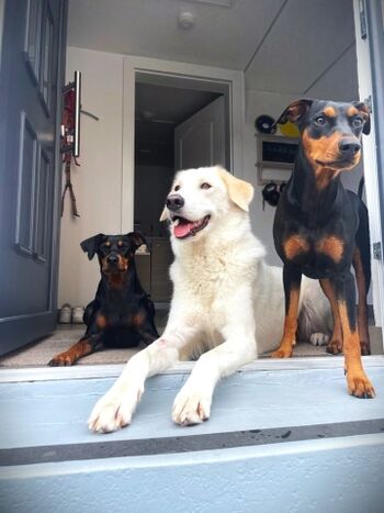 Zufriedene Gäste beim Chillen...