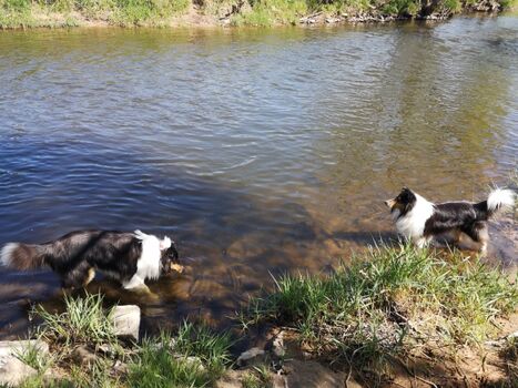 Badstelle am Pfordter See