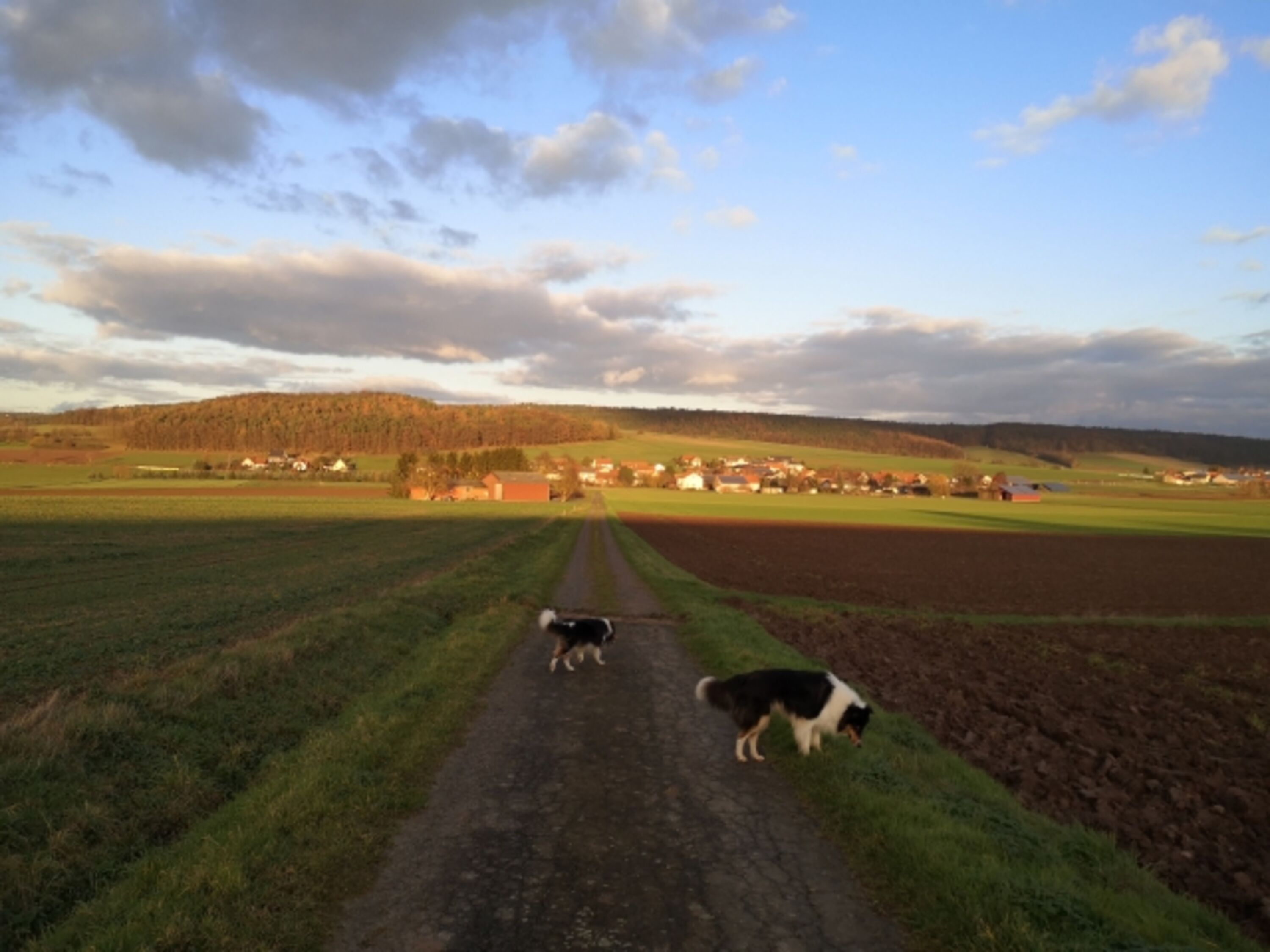 Umgebung