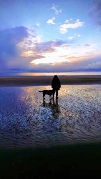 Abendspaziergang im Watt