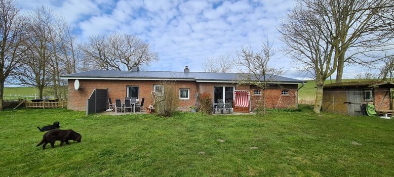 mit genügend Platz auch für die Fellnasen