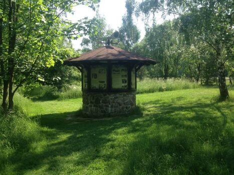 Der Jungbornplatz. Uralt und einfach gemütlich.