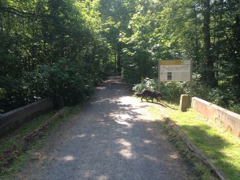 Weitere Brücke über die Ecker