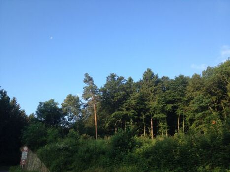 Der Blick aus Ihrem Wintergarten