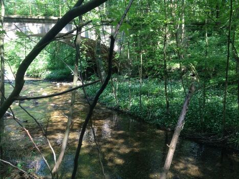 Grenzbrücke über die Ecker. Nicht weit entfernt vom Haus kann Ihr Hund abkühlen.