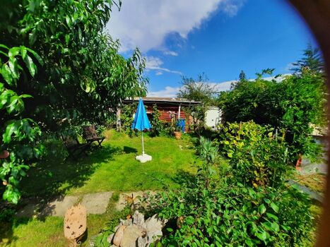 Ihr sonniger Garten mit Platz für Sie und Ihre(n) Hund(e)