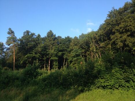 Ihre Aussicht aus dem Garten