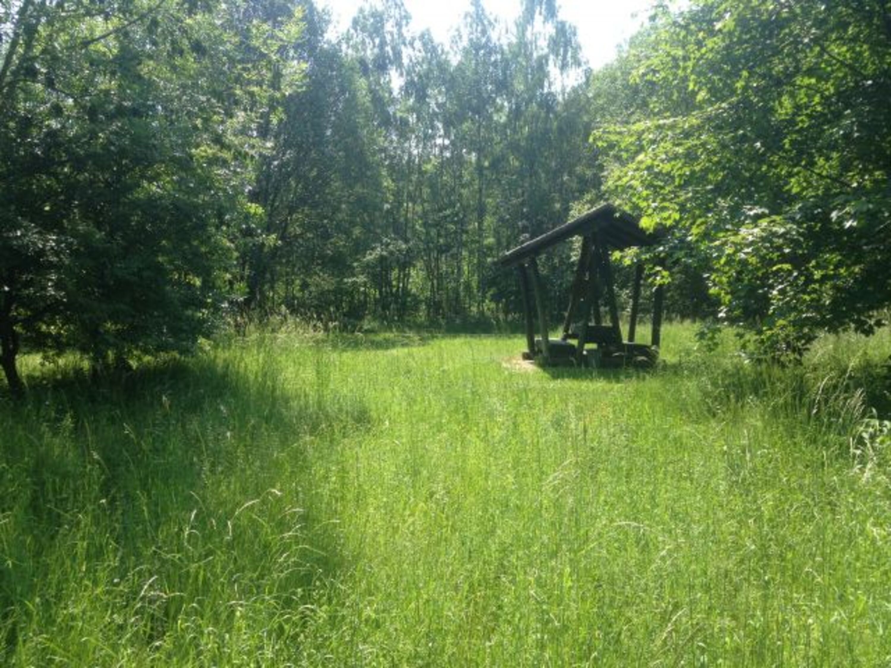 Der Jungbornplatz. Altehrwürdig und einen Spaziergang wert.