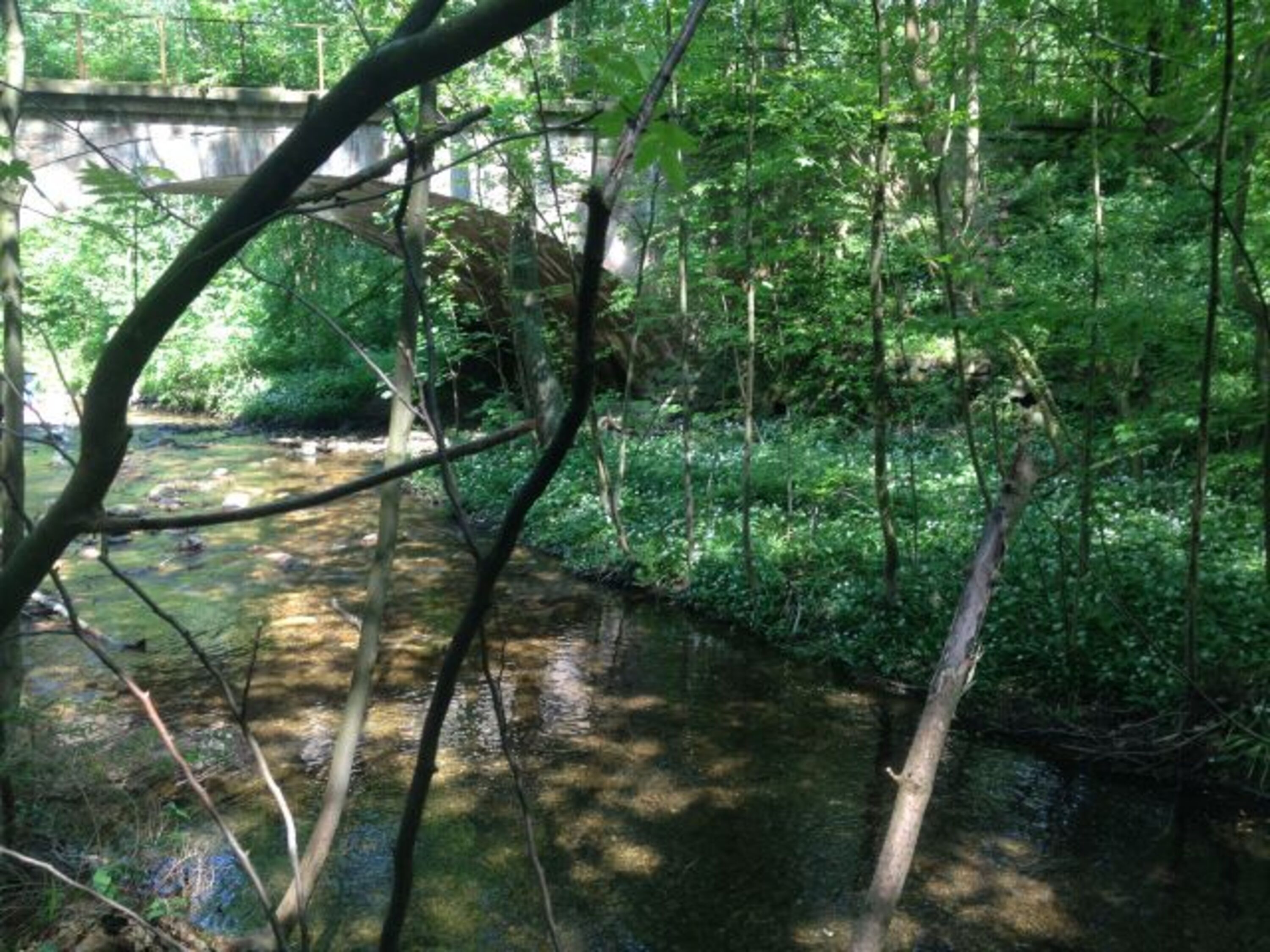 Die Brücke über die Ecker (Grenzfluss)