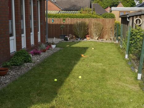 Ein Stück der Wiese, wo Hunde sich frei bewegen können u. dürfen
