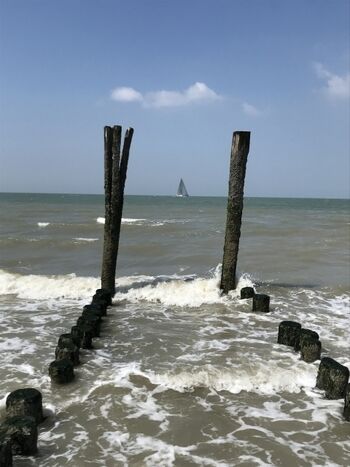 Sommer, Sonne, Segeln und Meer