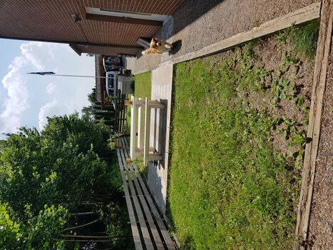 eingezäunter Garten