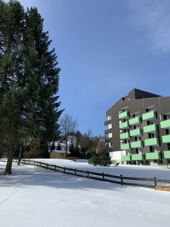 Winter.... ein Traum