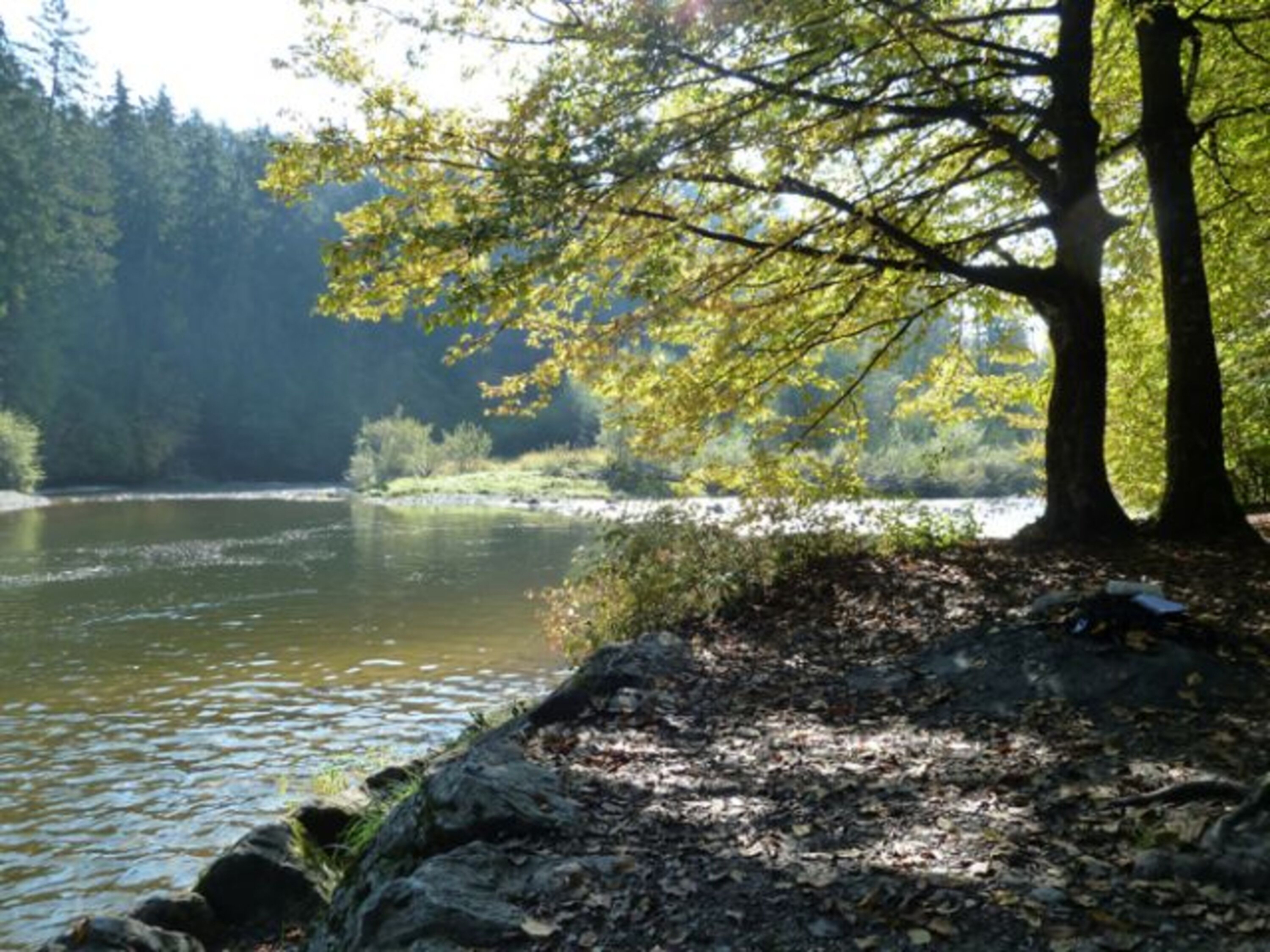 Bild 6