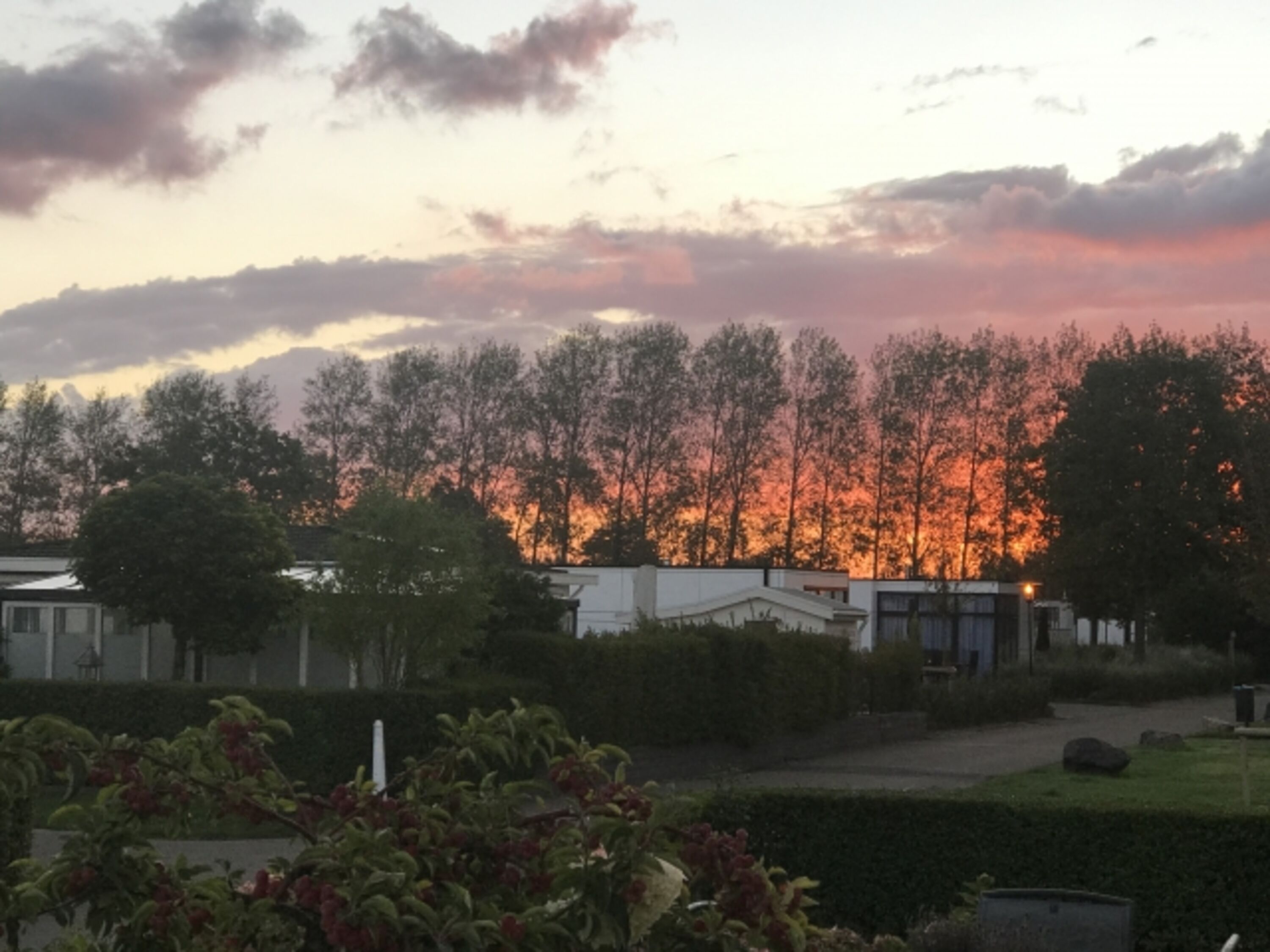 Morgenstimmung
