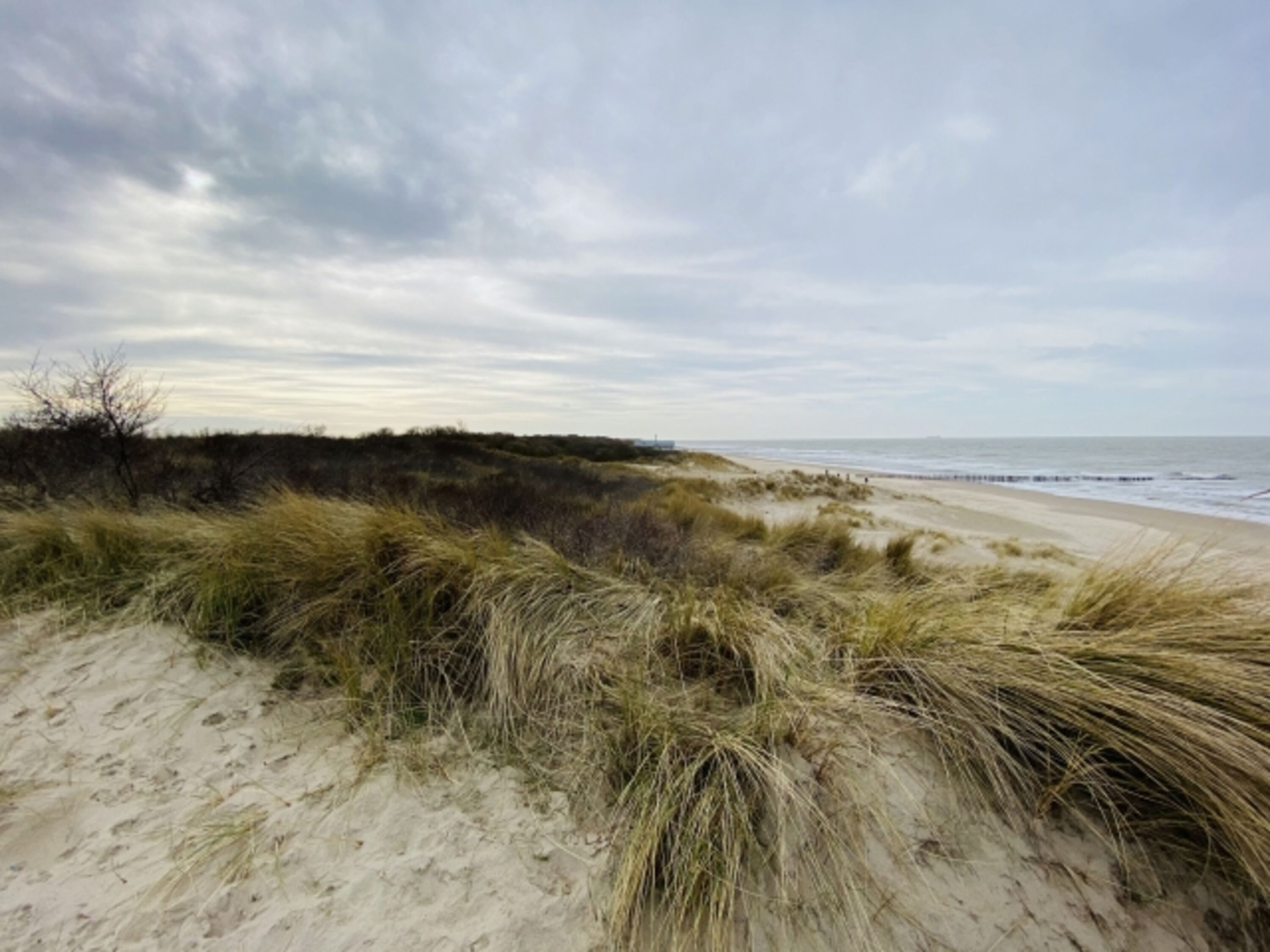 Strand...
