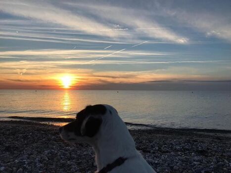 Strand-Impressionen - Fehmarn