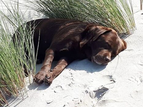 Strand-Impressionen - Fehmarn