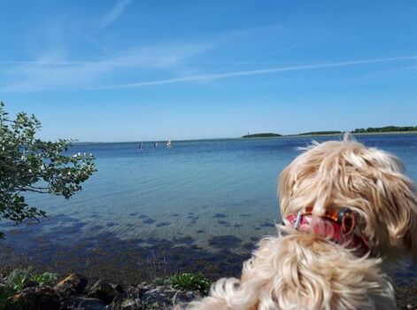 Strand-Impressionen - Fehmarn