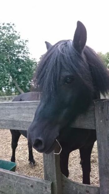Ferienhof Becker auf Fehmarn