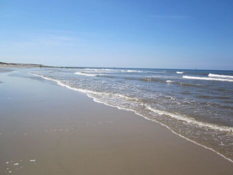 Weite Sandstrände -30km in jede Richtung- Hundestrand