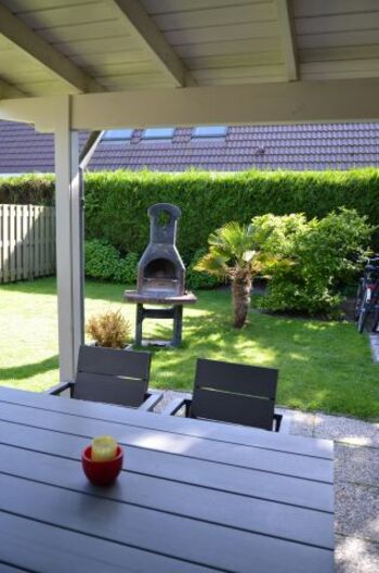 Blick in den Garten mit Palme und gemauertem Grill