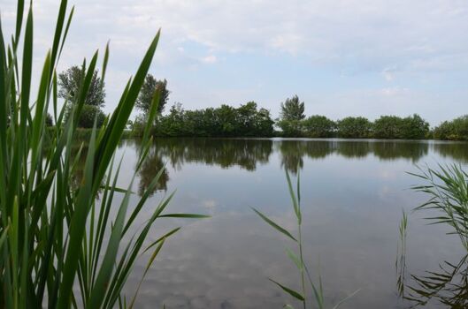 Blick auf den  See vor der Terrasse 