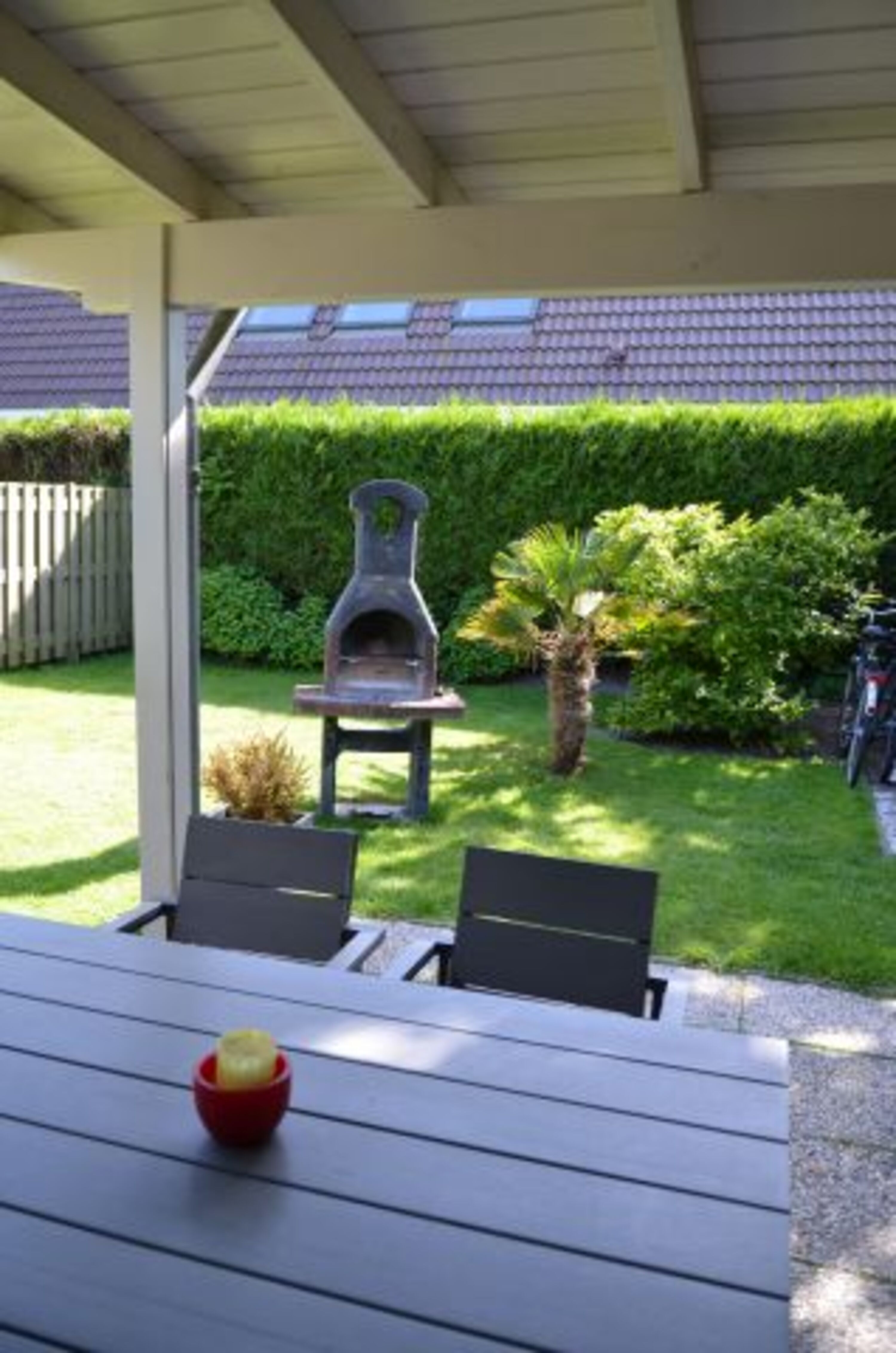 Blick in den Garten mit Palme und gemauertem Grill