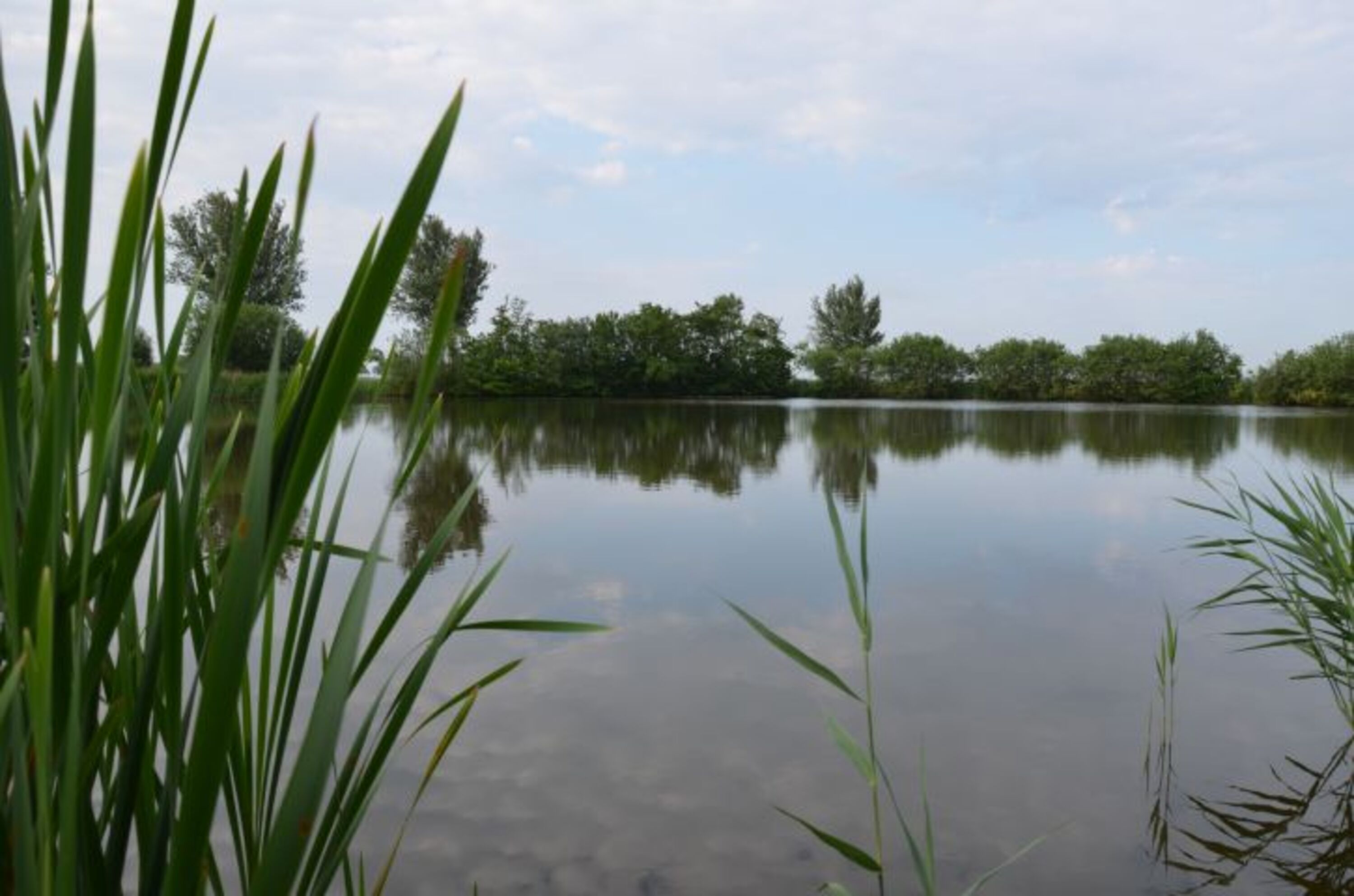 Blick auf den See vor der Terrasse 