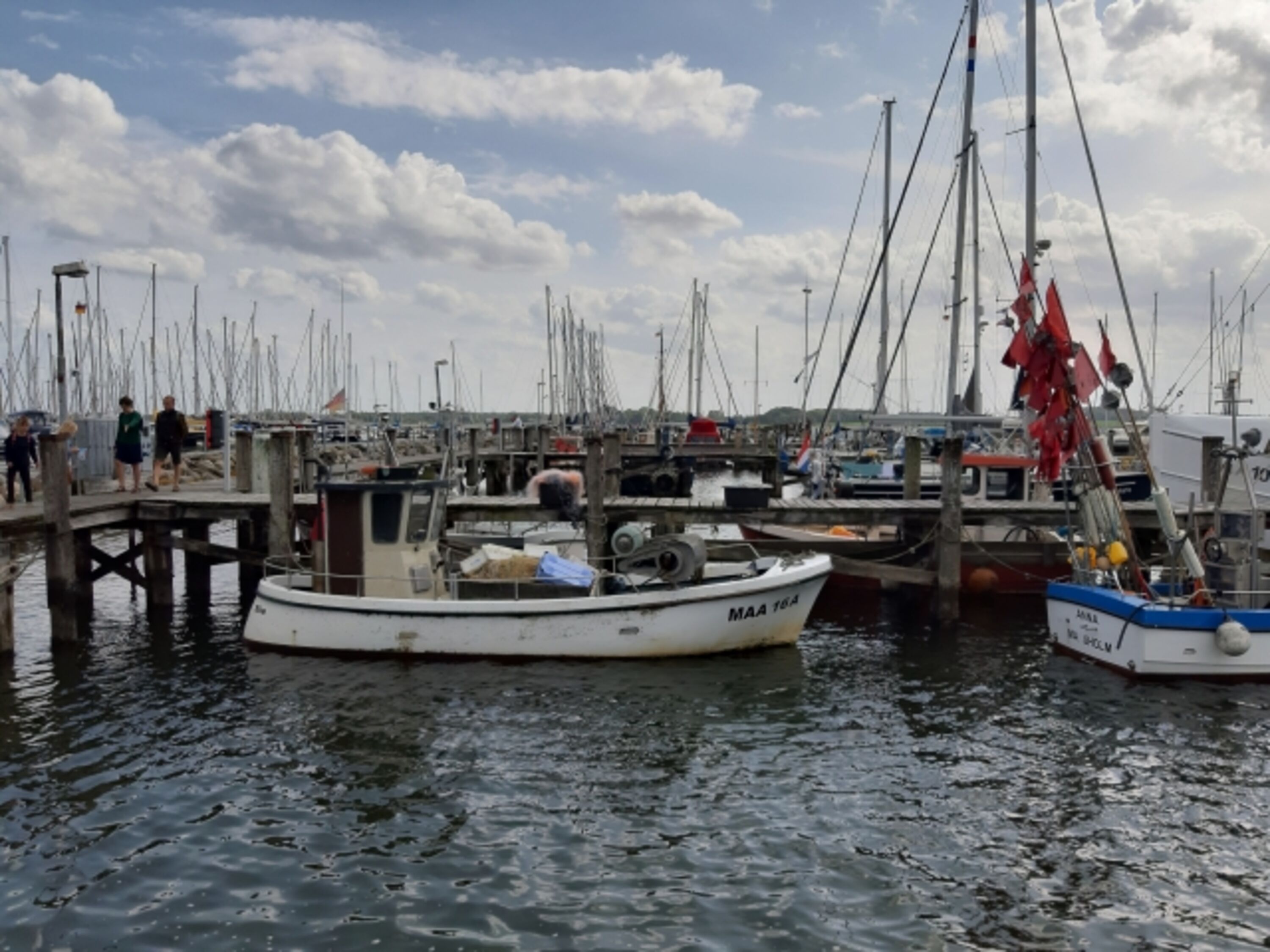Hafen von Maasholm