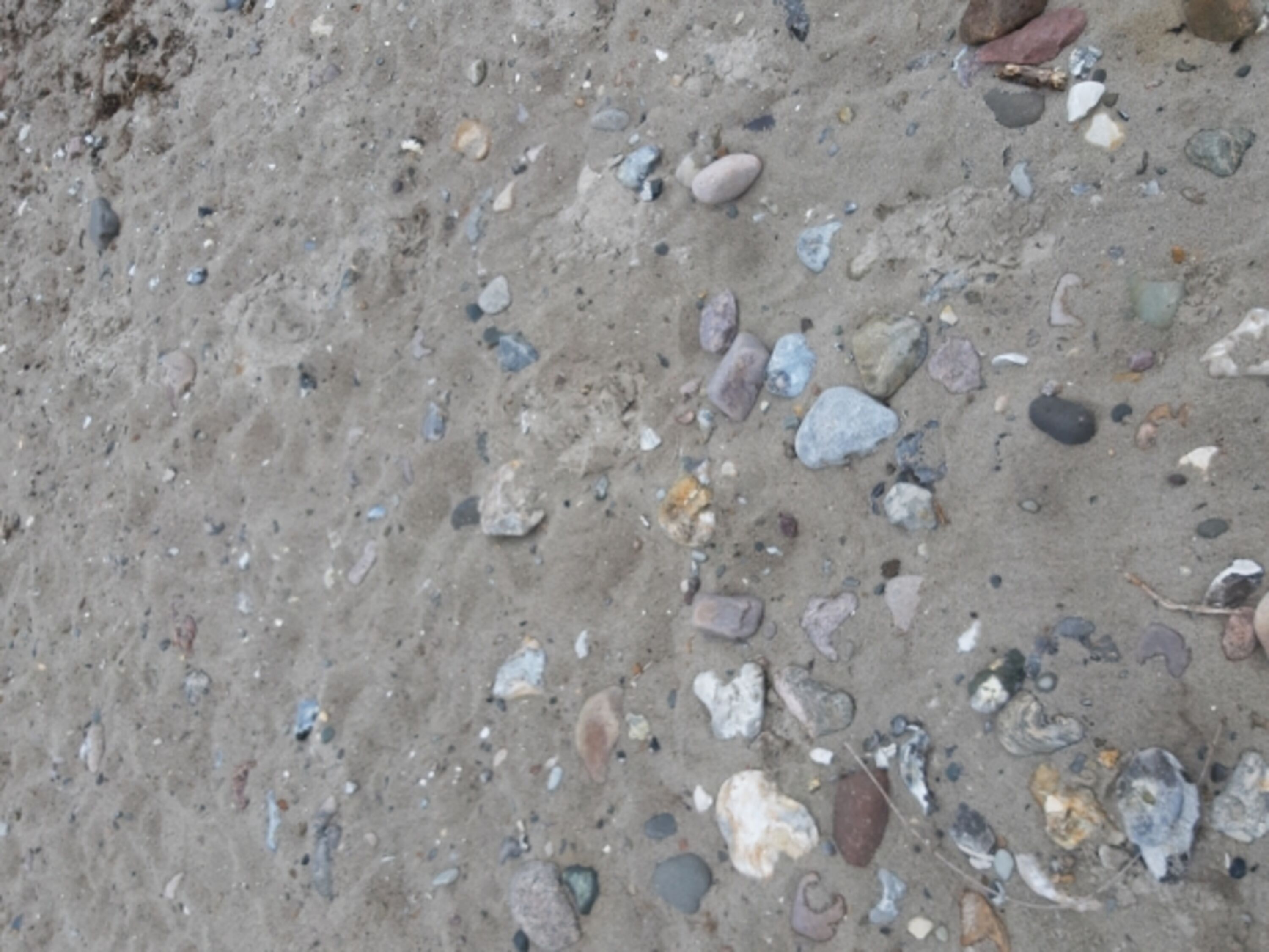 Fossilien suchen ...