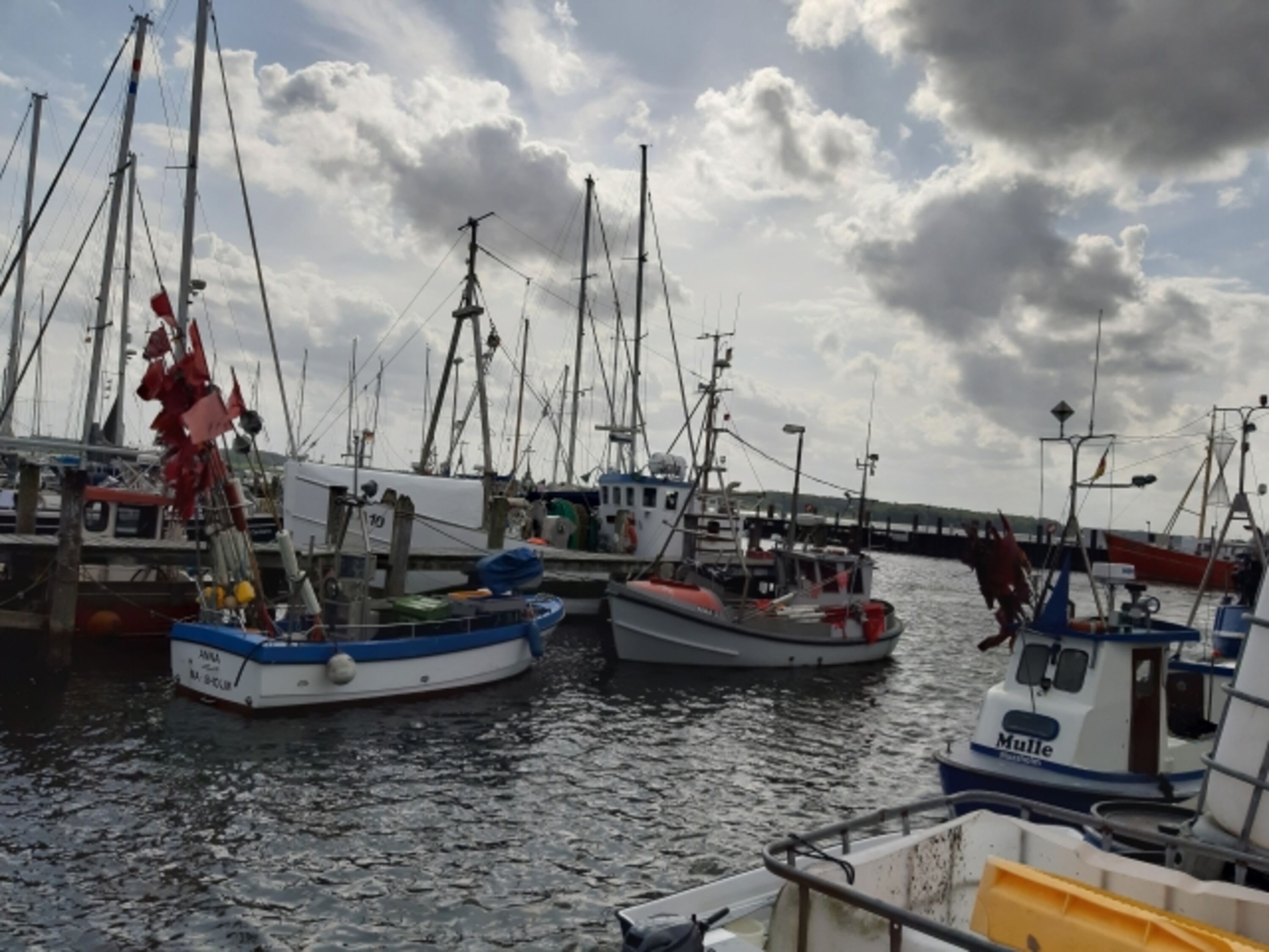 Hafen von Maasholm
