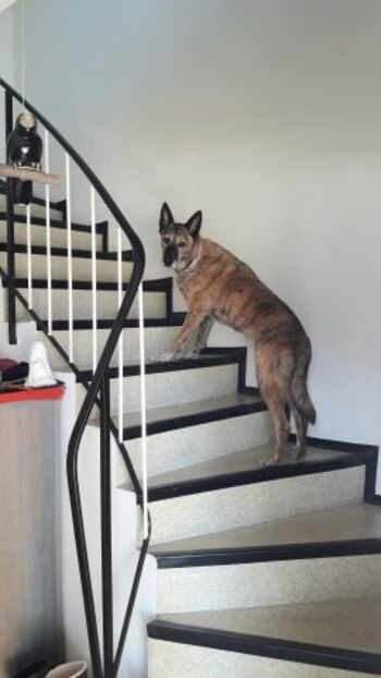 Aufgang zur Wohnung im 1. Stock