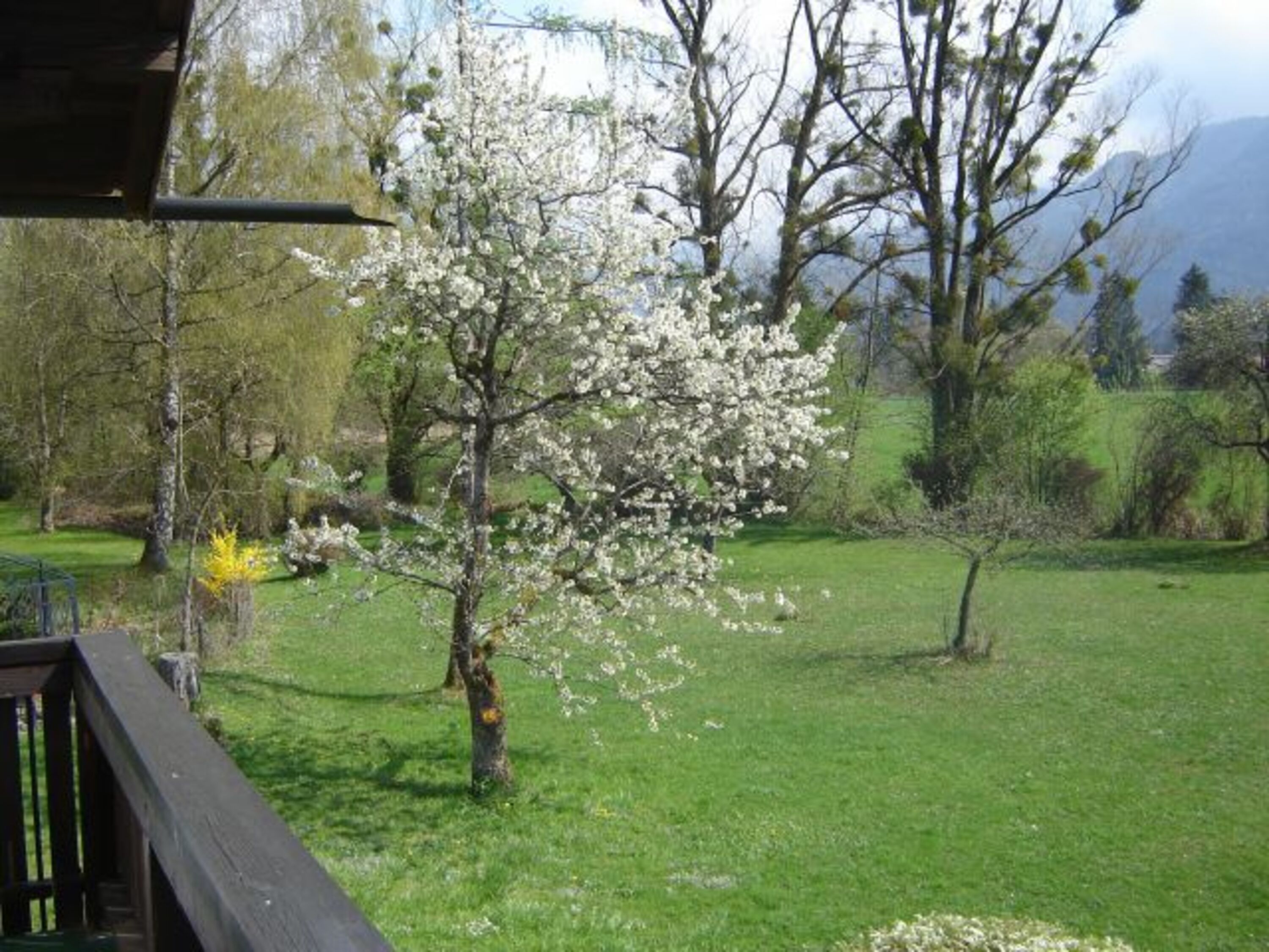 Blick vom Balkon