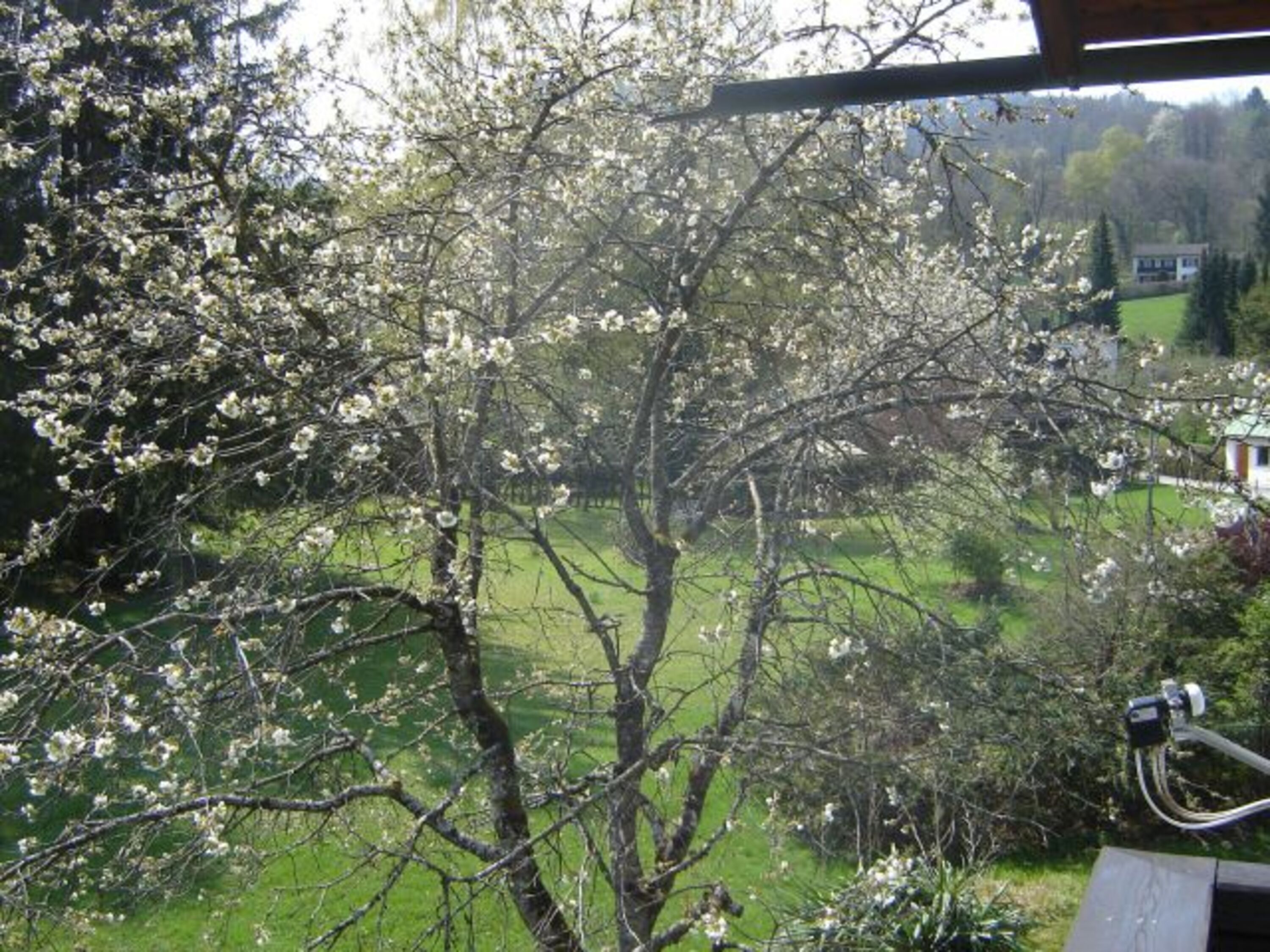 Bild 13