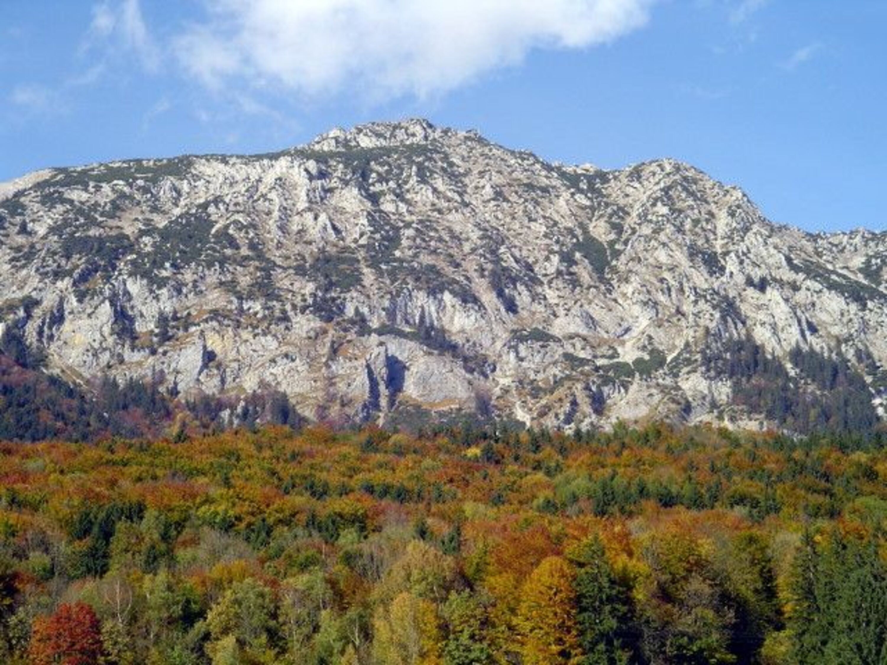 Staufen