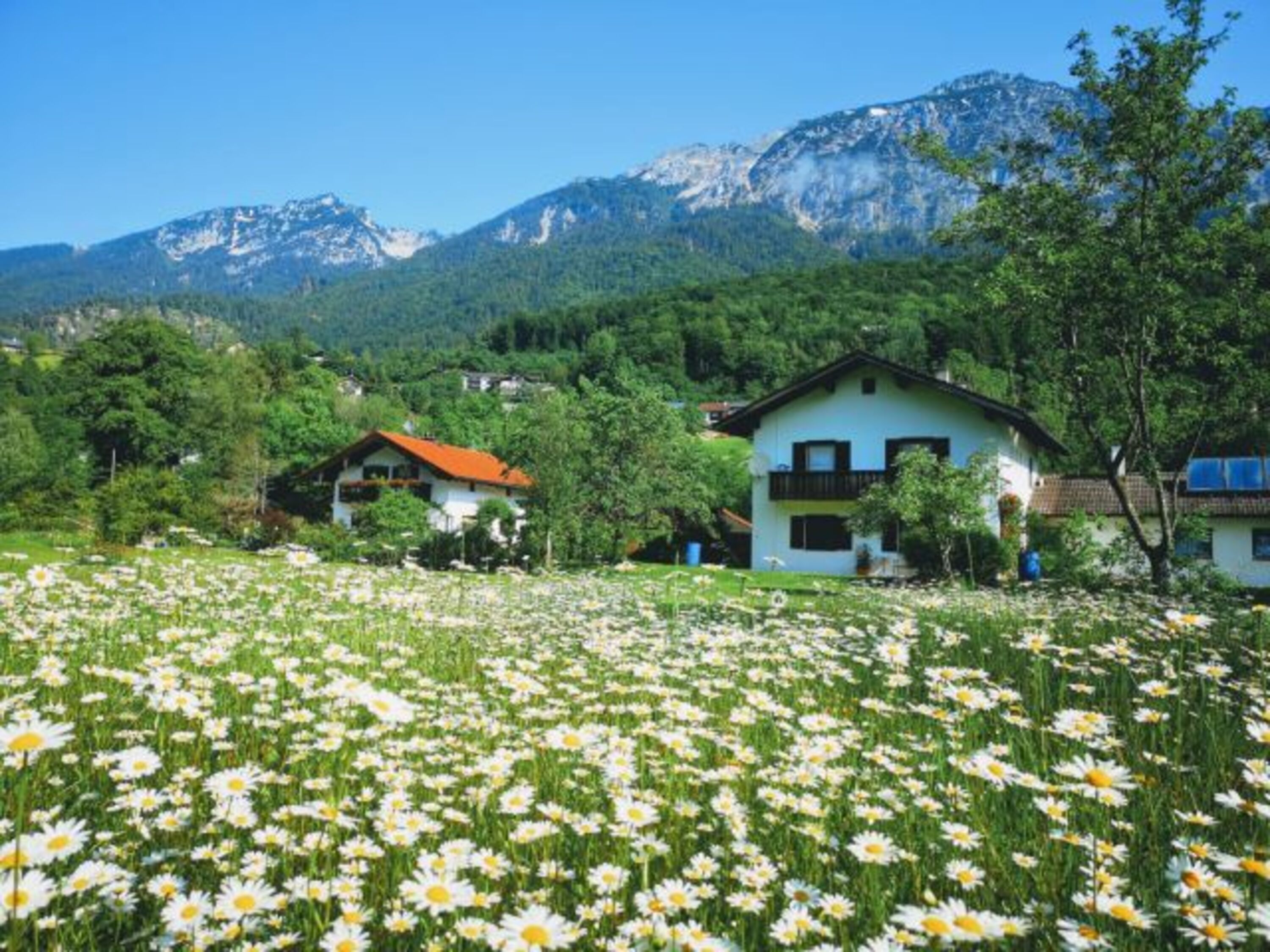Bild 19