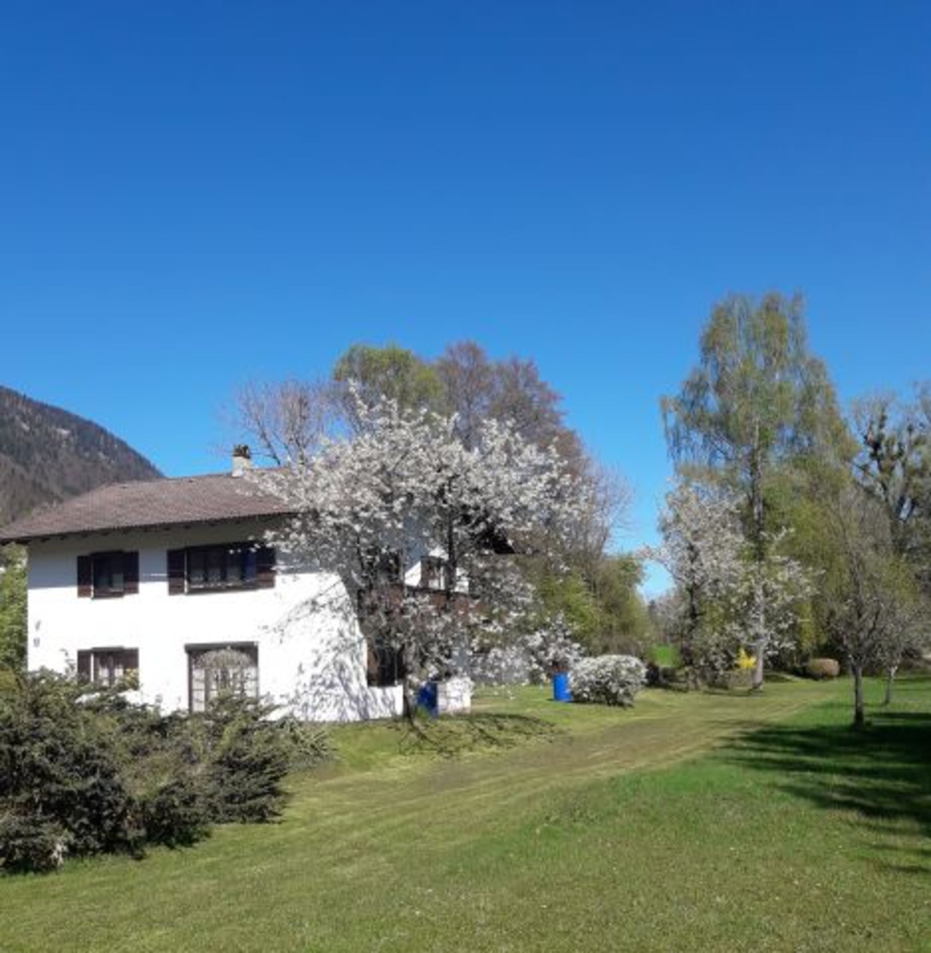 Bild 15