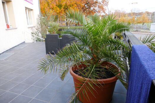 Gemeinschaftsterrasse