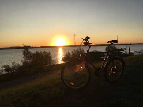 Elbe-Radweg, direkt am Deich