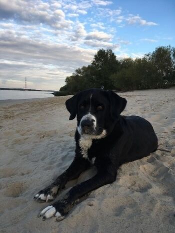 Entspannen im Elbsand