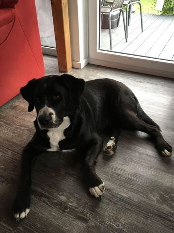 Blick Richtung Terrassentür