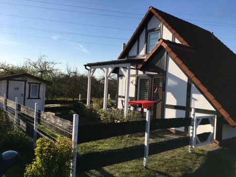 Ansicht 4-Pfoten-Kotte