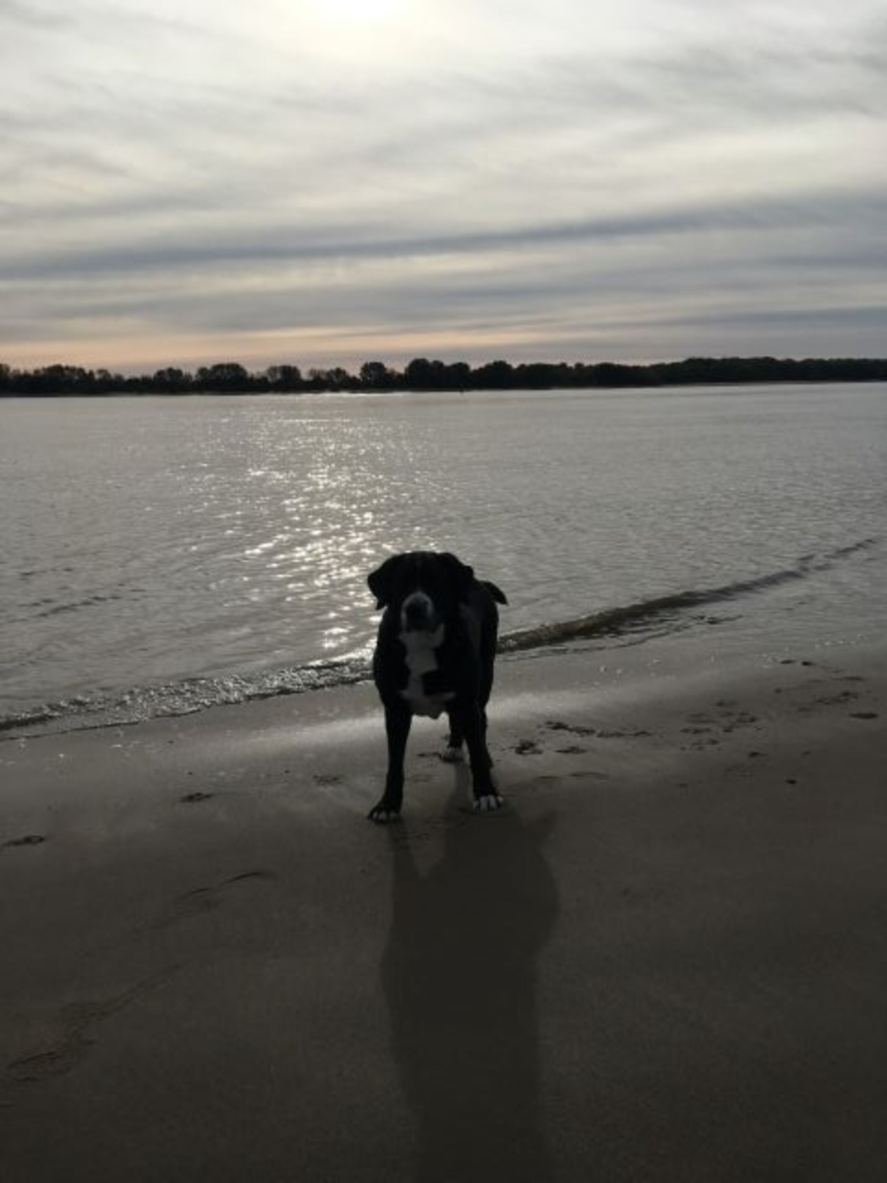 Strand an der Elbe